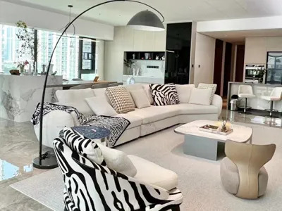 南海客厅家具套装新家